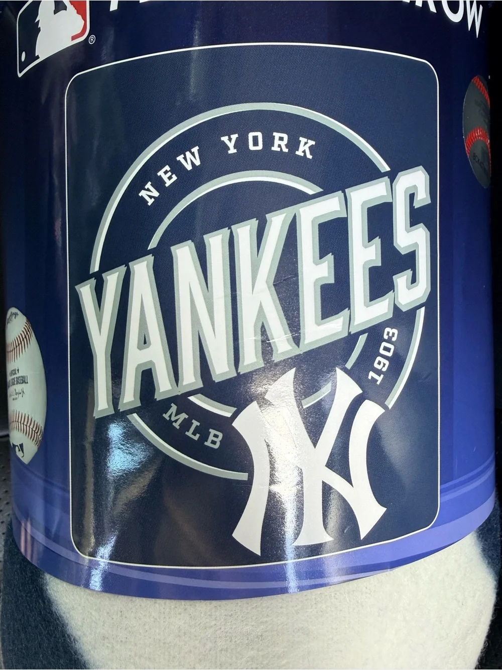 MLB NewYork Yankees Fleece Throw